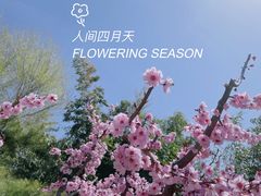 -竹子庵公园