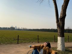 -汉长安城未央宫国家考古遗址公园