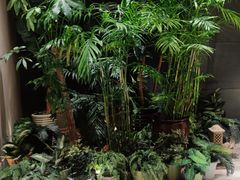 -丽思卡尔顿酒店泳池(金融街店)