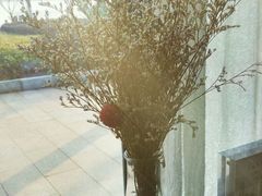 -MOMENT湖景餐厅(解放路店)