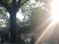 -北京国子监胡同
