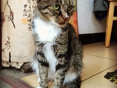 iphone_upload_pic-田记宫廷奶酪