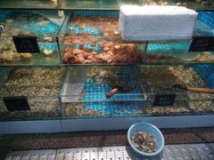 水产区-北戴河庆山饭店·海鲜砂锅粥(北戴河黑石路店)