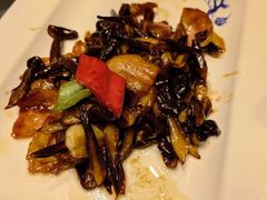 鸡枞菌炒肉-同济大酒店(绿宝广场店)