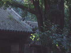 -红螺寺