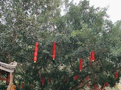 -龙门水都景区