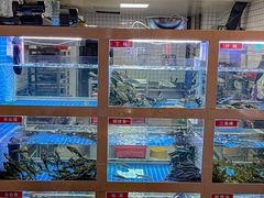 -石锅苗苗鱼(武汉首店)