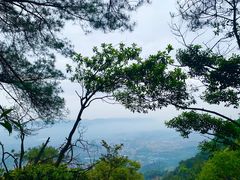 -缙云山景区