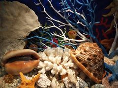 -多彩贵州城极地海洋世界