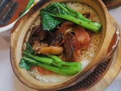 -新雅粤菜馆(南京东路店)