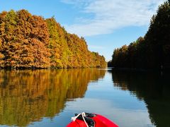 -上海海湾国家森林公园