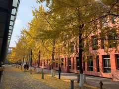 -四川大学(江安校区)