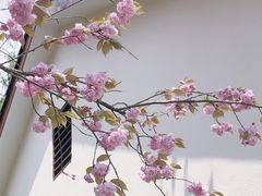-四明山国家森林公园