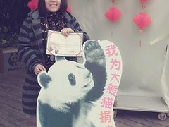 -成都大熊猫繁育研究基地