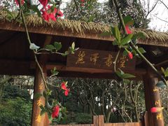 景点-秀丽东方