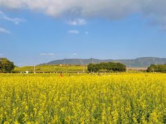 -光明小镇欢乐田园