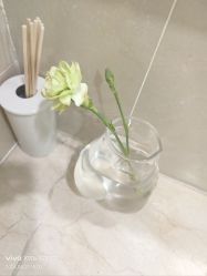 -HEYAN荷妍专业脱毛连锁机构