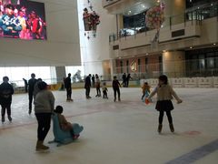 -冰纷万象滑冰场(二七万象城店)