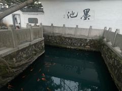 -墨池公园