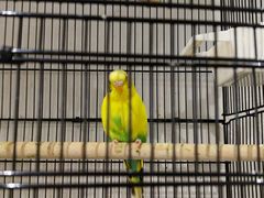 -瓦舍茶馆(聚源路店)