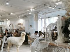 -共舞时光猫咖·狗咖(新街口店)
