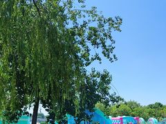 -大兴滨河森林公园