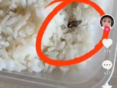 -约翰·菲茨杰拉德·肯尼迪国际机场