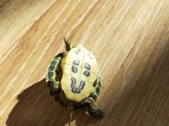 -捷信牛奶甜品世家(学府店)