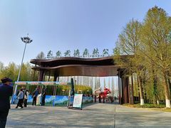 -黄海国家森林公园