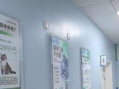 -中国农业大学动物医院