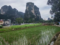 -明仕田园