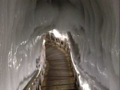-芦芽山旅游度假区