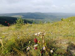 -塞罕坝国家级自然保护区