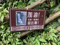 -鹿院坪生态旅游景区