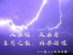 -美联众合动物医院(唯恩分院)