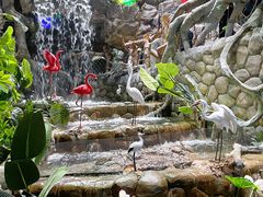 -多彩贵州城极地海洋世界