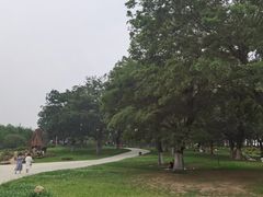-秀丽东方