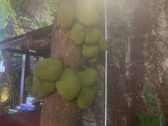 -茂德公鼓城
