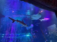 -沈阳海洋探索中心