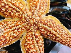 -宾朋海鲜美食餐厅·特色美食(兴海路店)