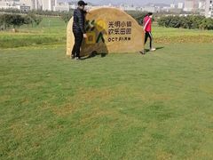 -光明小镇欢乐田园