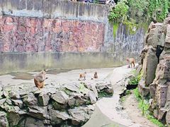 -杭州动物园