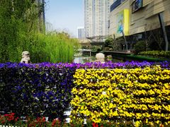 -G+KITCHEN(龙湖狮山天街店)