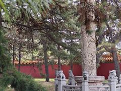 -北陵公园