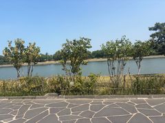 -蓬莱阁景区