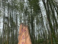 -蜀南竹海景区