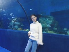 -梦幻海洋王国(吾悦广场张家港店)