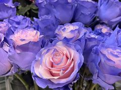 -ROSEONLY诺誓(广州K11店)