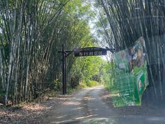 -海南热带野生动植物园