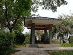 -玉树公园